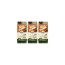 고메 바삭튀겨낸통등심 돈카츠 450g (냉동) 3개